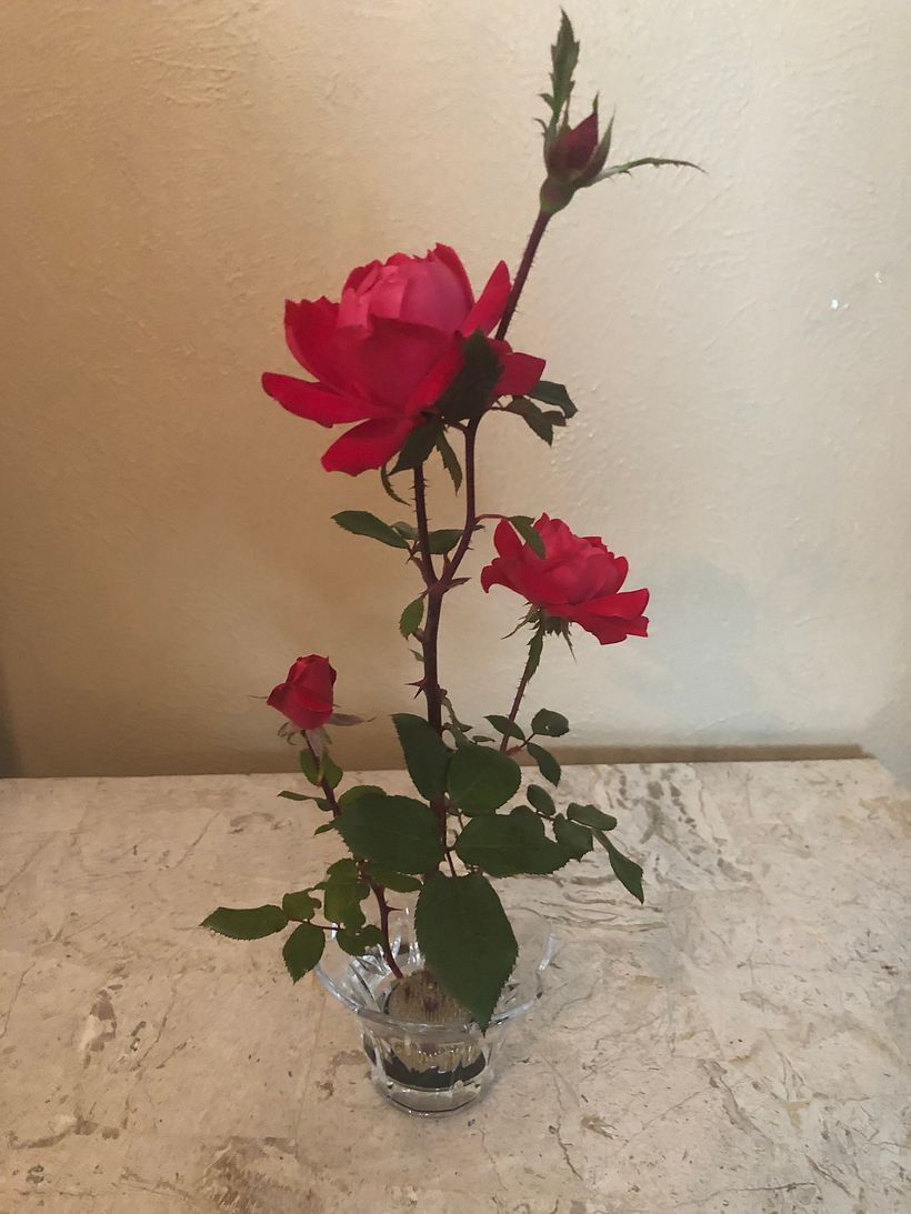 My project in Floral Arrangement Design with Seasonal Blooms course 6