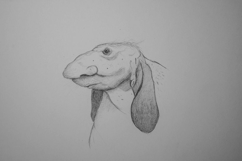 Dogtroll sketch.