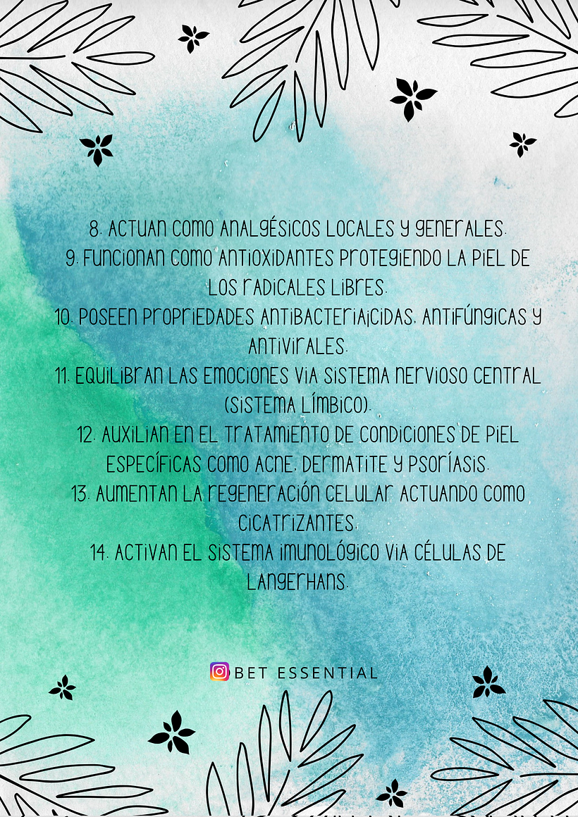 Mi Proyecto del curso: Fotografía profesional para Instagram 6