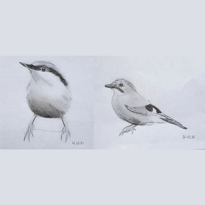 Dessins crayons de bois