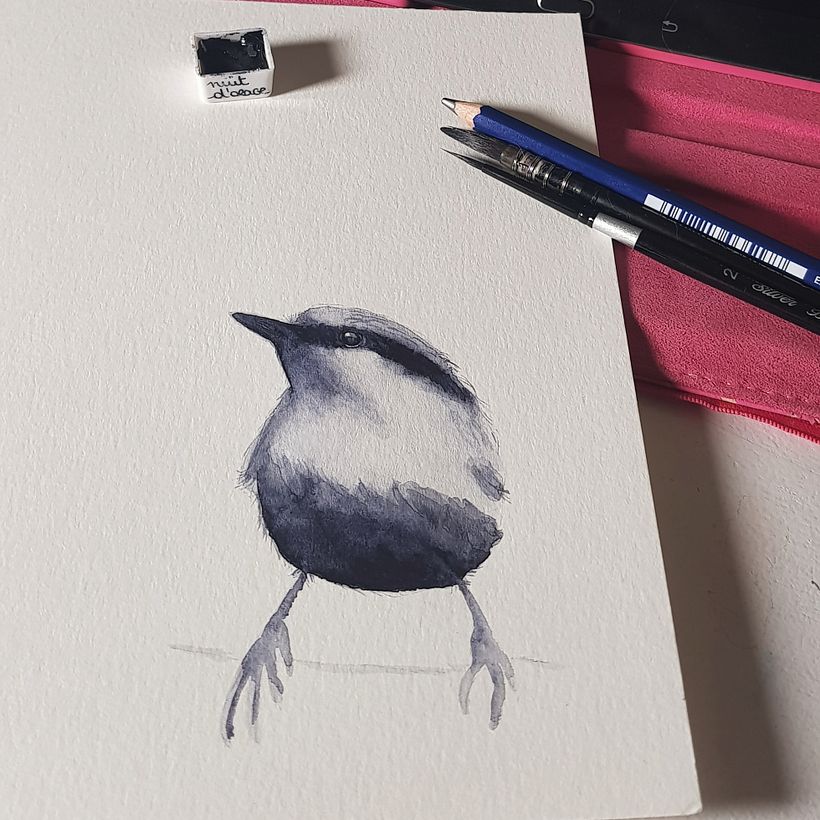 Sittelle à l'aquarelle