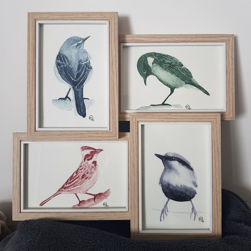 4 oiseaux en monochrome