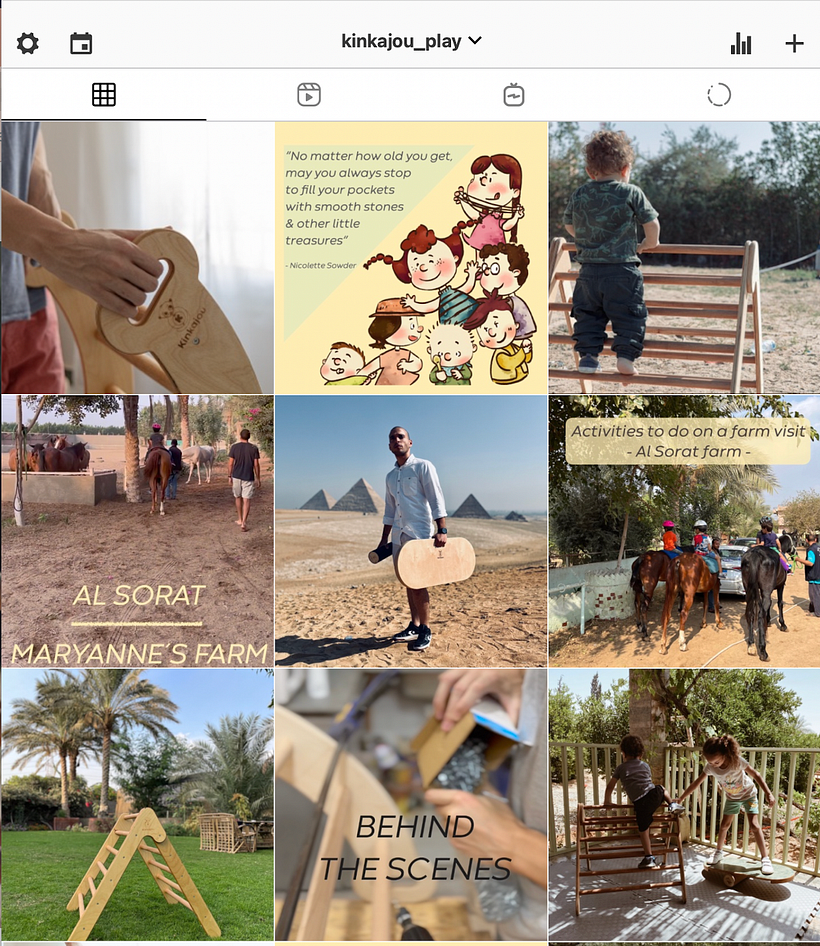 Kinkajou_play social media posts 3