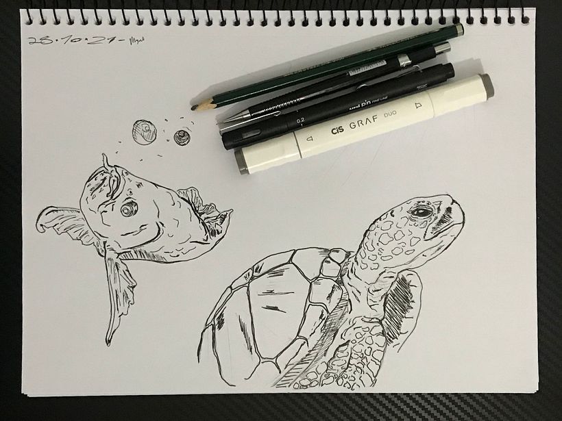 Meu projeto do curso: Sketching diário para inspiração criativa 1
