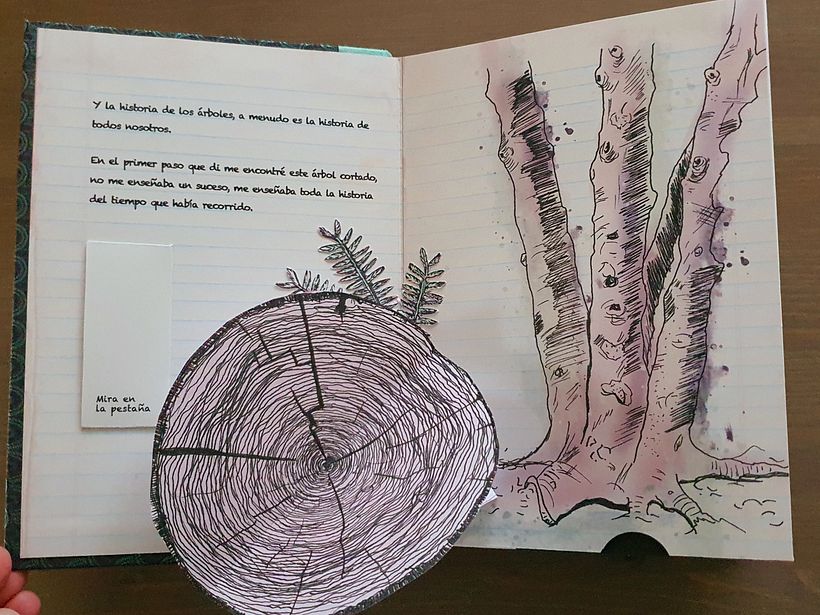 Interactive Pop-up Book 3