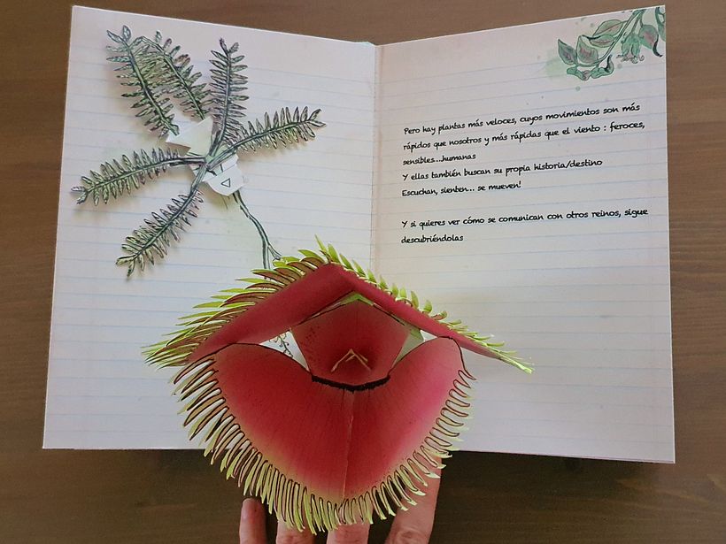 Interactive Pop-up Book 4