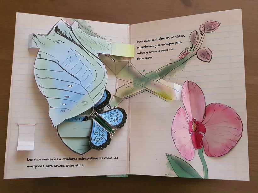 Interactive Pop-up Book 5