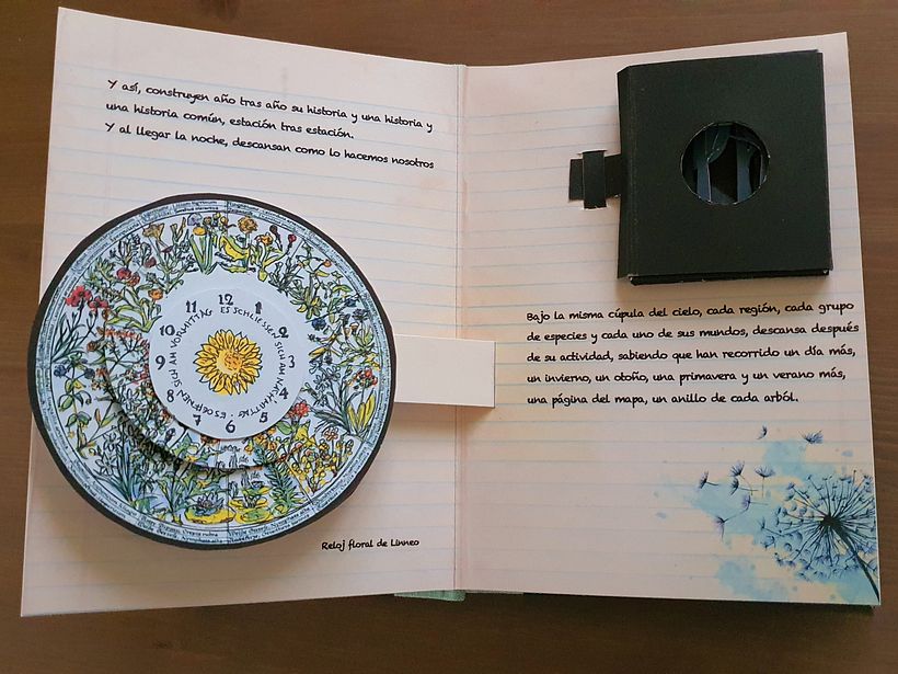 Interactive Pop-up Book 6