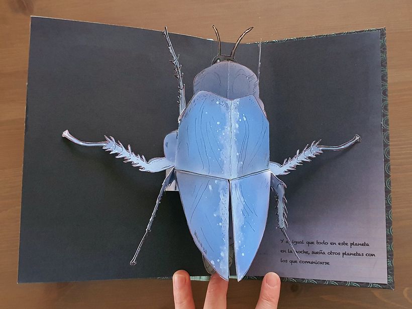 Interactive Pop-up Book 7