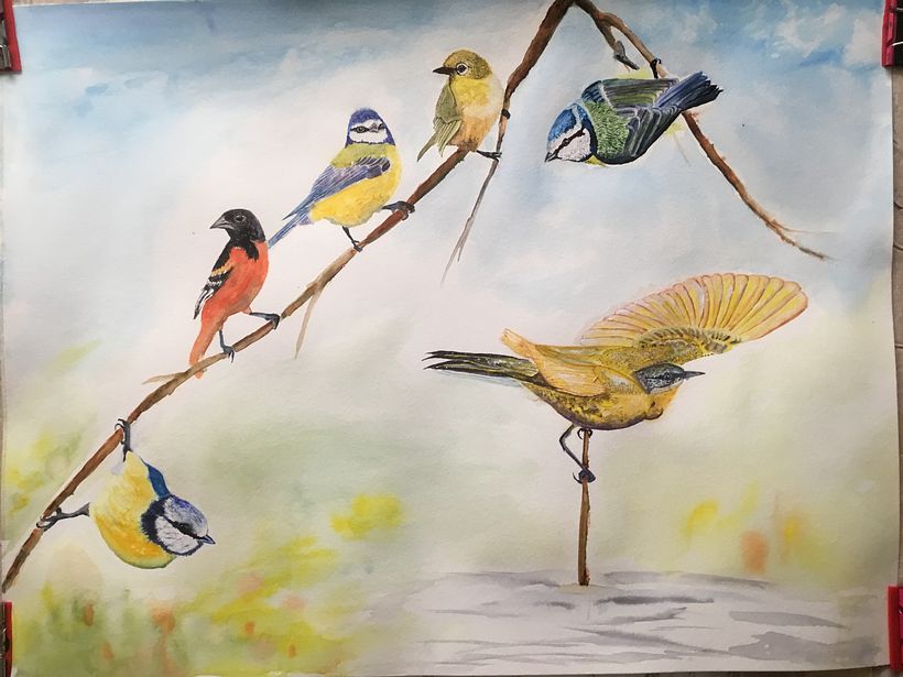 My project in Artistic Watercolor Techniques for Illustrating Birds course 1