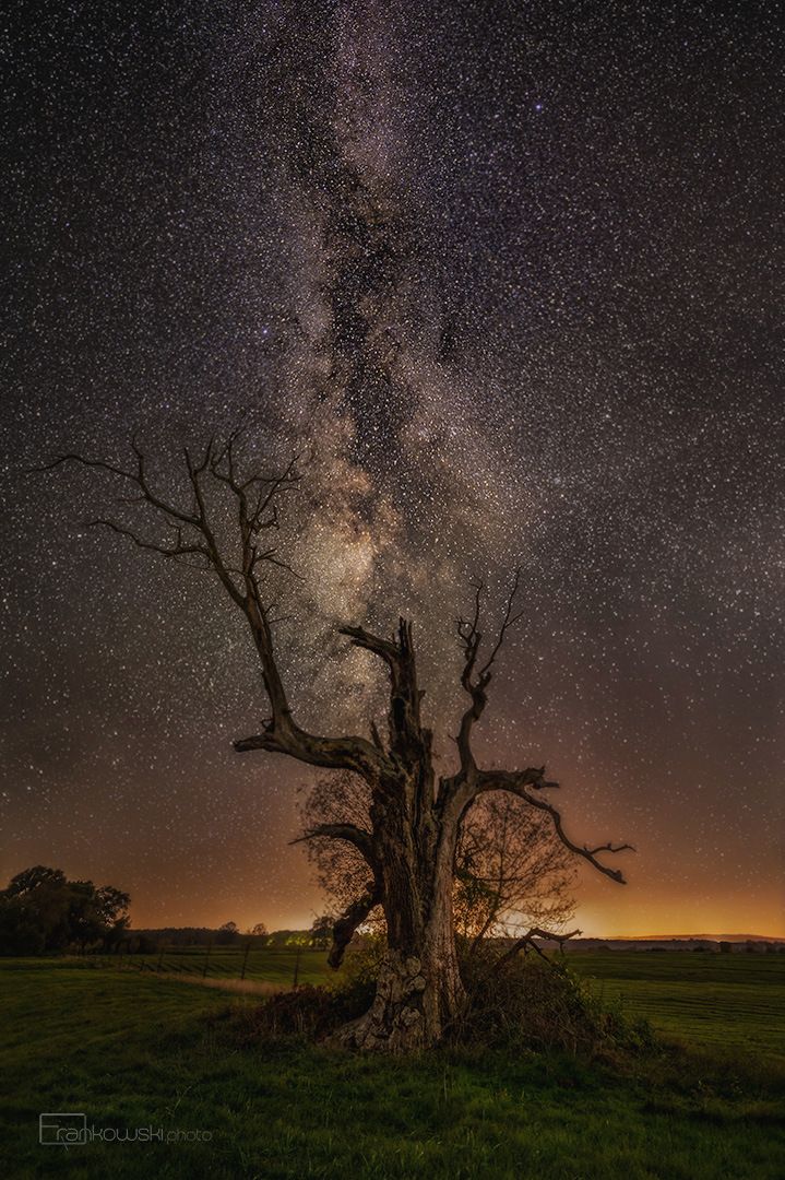 Milkyway in Poland