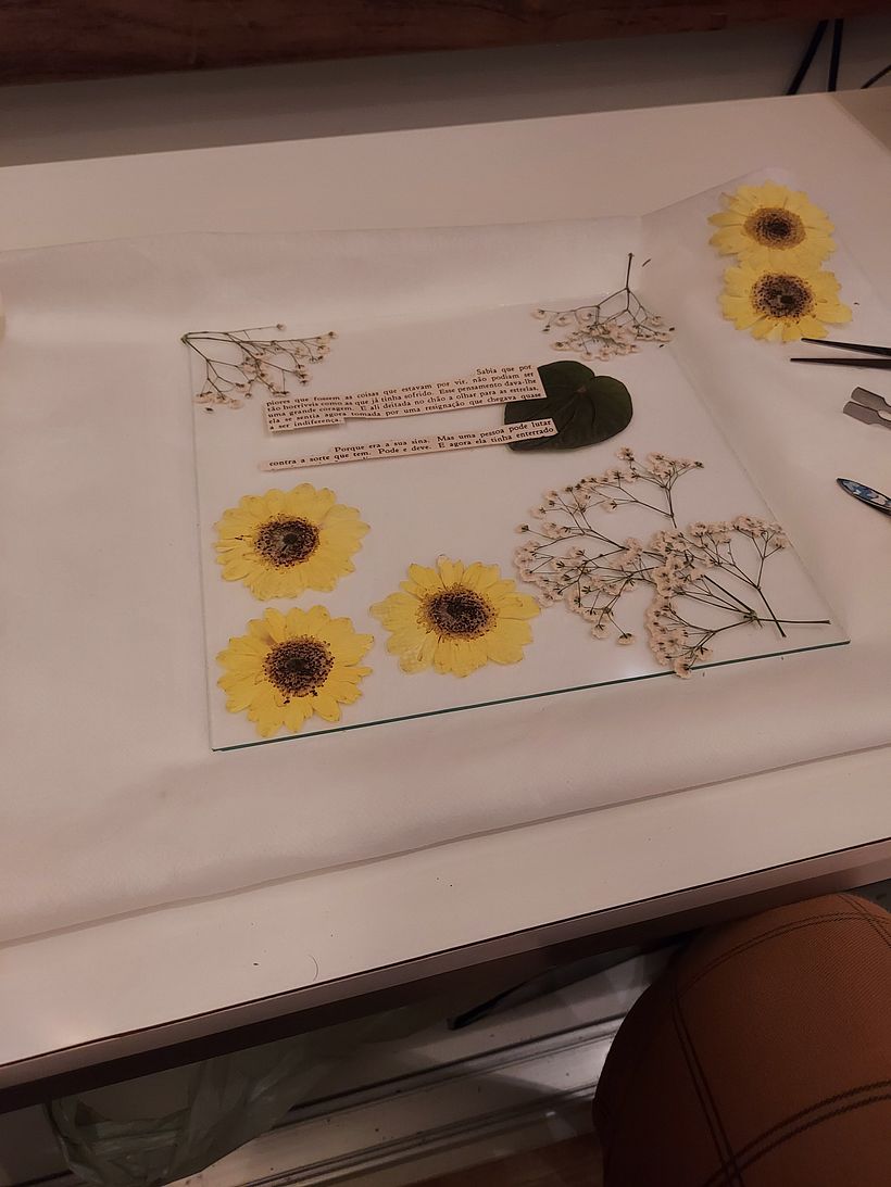 Meu projeto do curso: Técnicas básicas para prensar flores e plantas 6