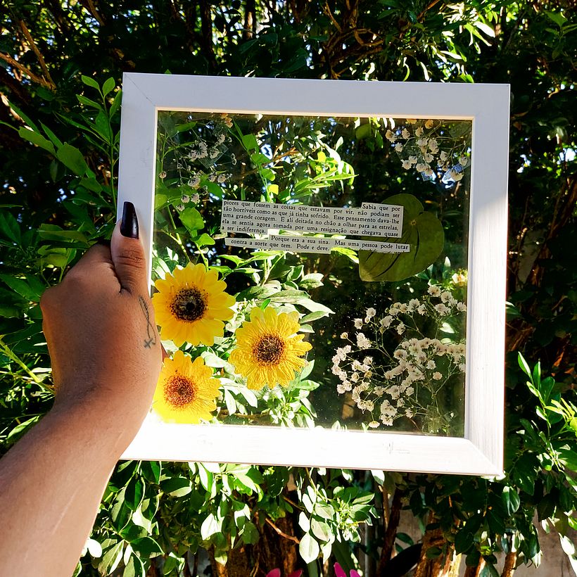 Meu projeto do curso: Técnicas básicas para prensar flores e plantas 3