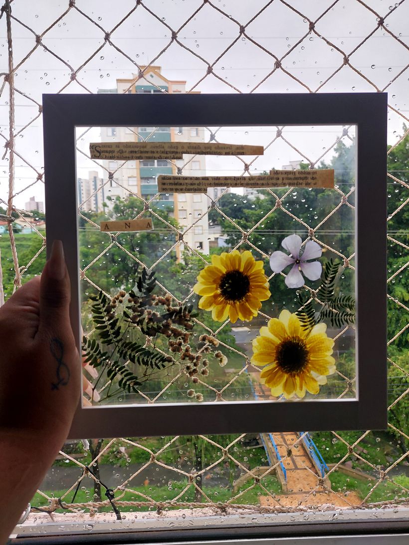Meu projeto do curso: Técnicas básicas para prensar flores e plantas 5