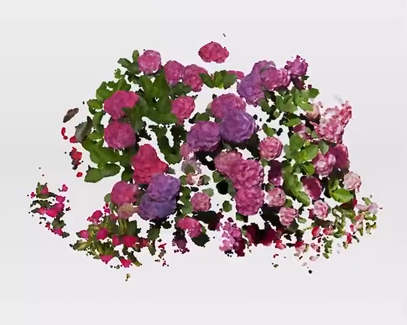 Aziel Group Garden 1