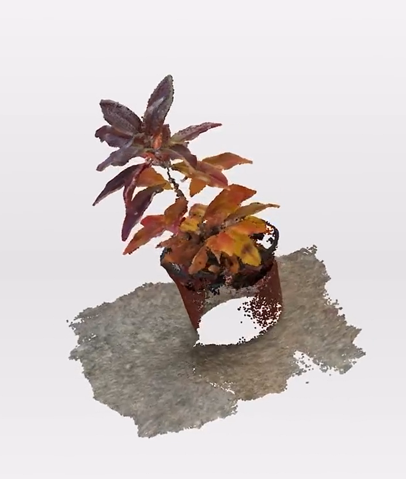 Aziel Group Garden 2