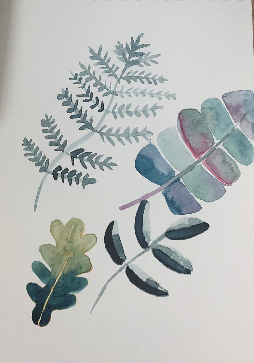 Mi Proyecto del curso: Técnicas aplicadas de ilustración en acuarela 2