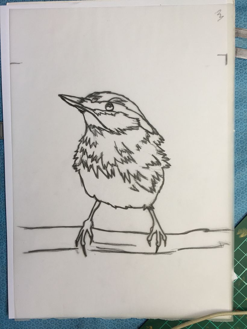 My project in Artistic Watercolor Techniques for Illustrating Birds course 1