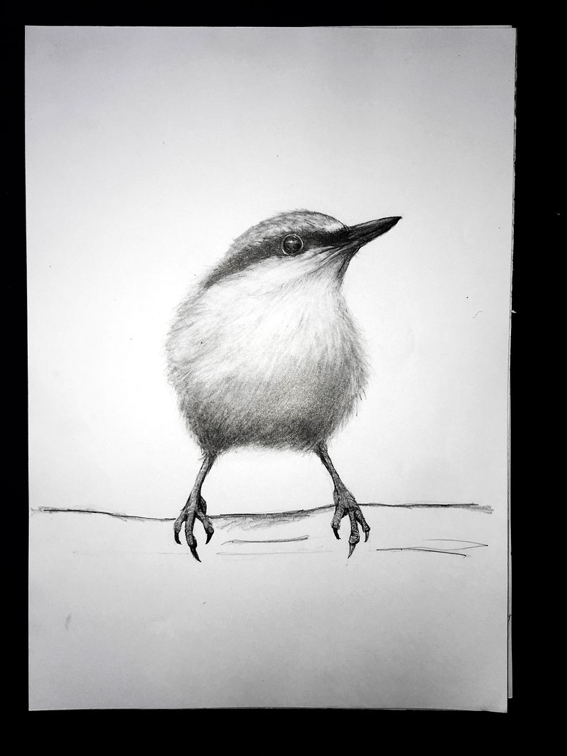 My project in Artistic Watercolor Techniques for Illustrating Birds course 2