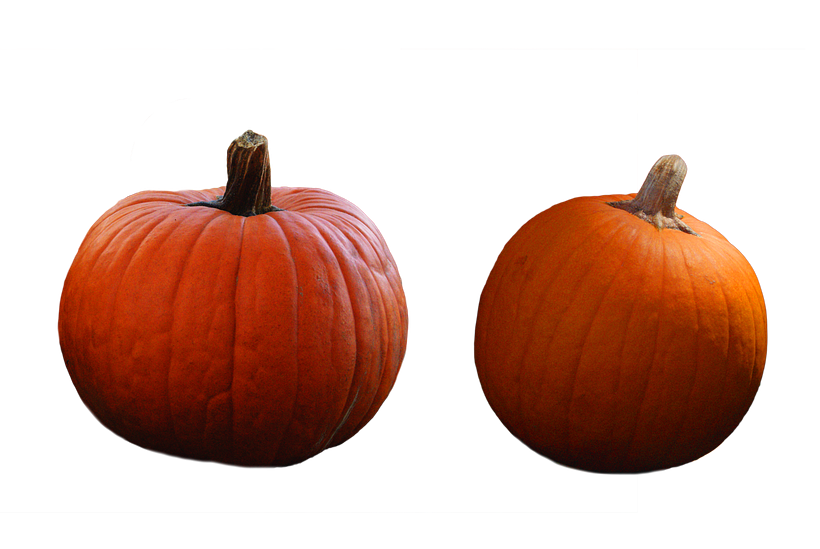 Halloween  5