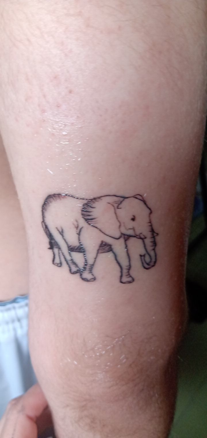 Meu projeto do curso: Tatuagem para principiantes 5
