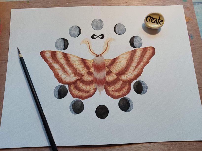 Infinity Moth 1