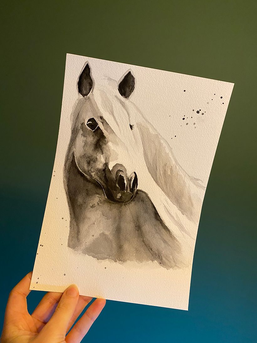 Horse - monochrome 1