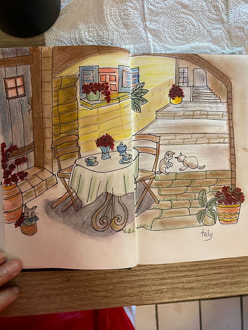 Cuaderno ilustrativo  2
