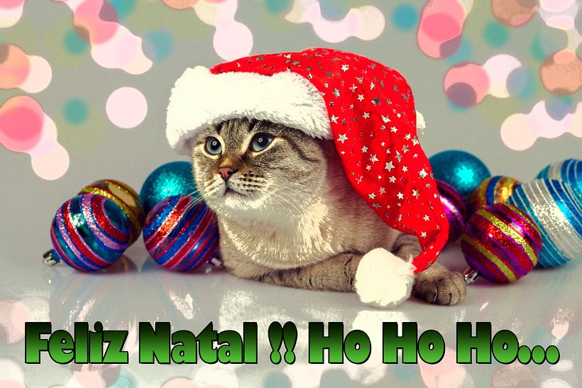 CARTÃO DE NATAL PARA O MUNDO !! 2