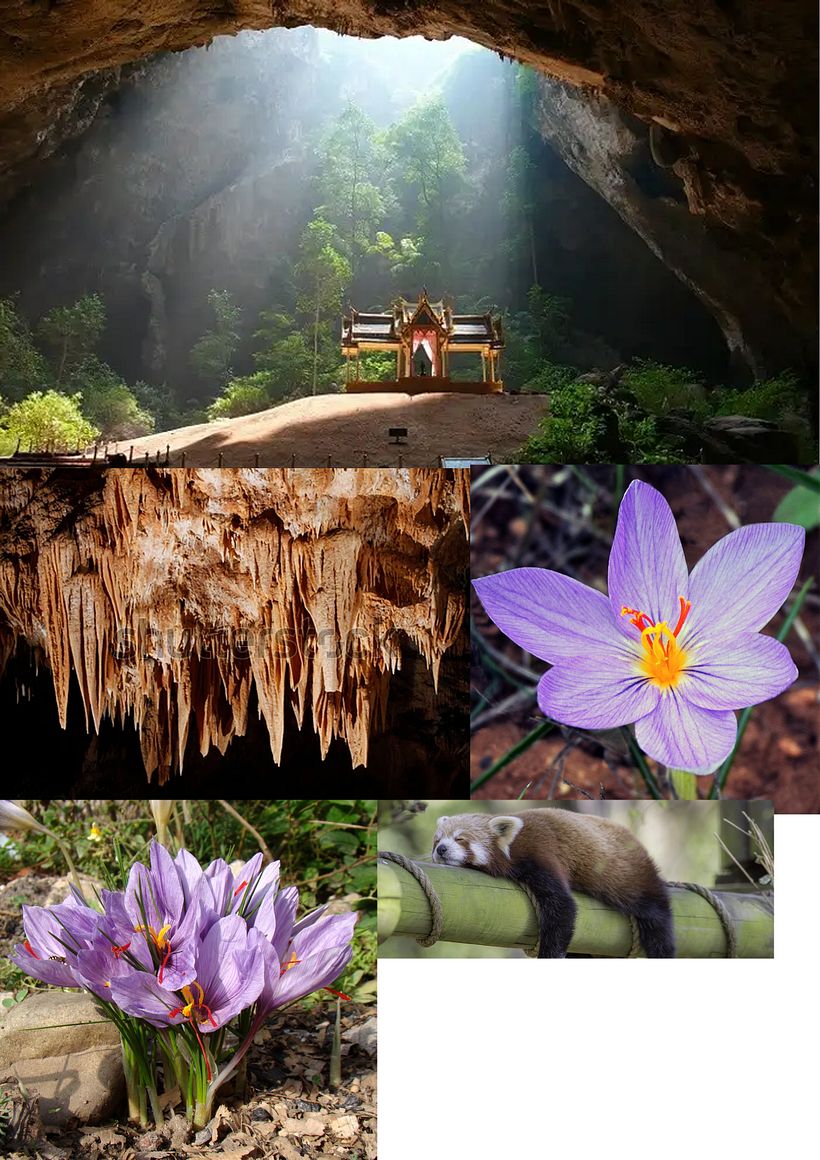 This is my mood board