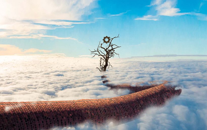 Creative Transformation 1