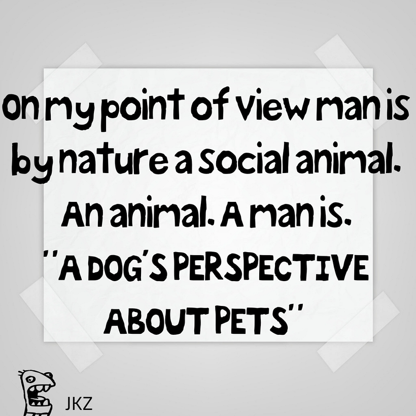 DoTheZoo 14