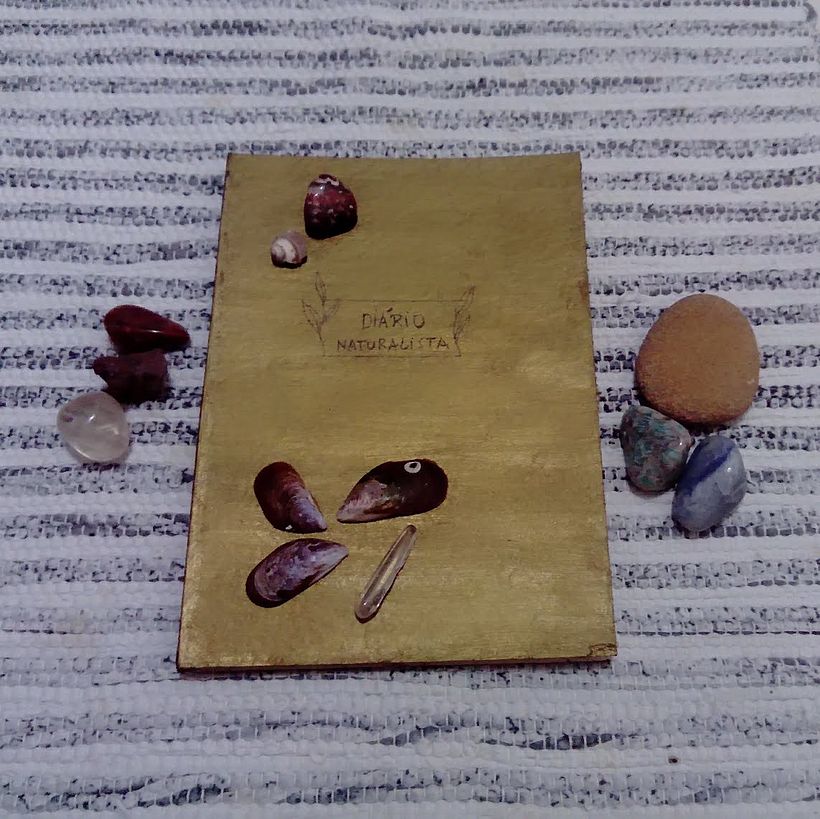 Meu projeto do curso: Diário naturalista em aquarela 1