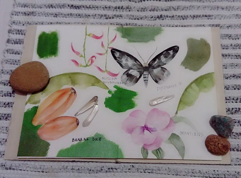 Meu projeto do curso: Diário naturalista em aquarela 3