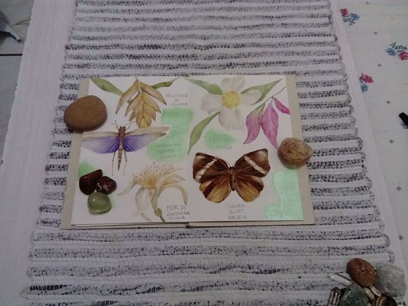 Meu projeto do curso: Diário naturalista em aquarela 3