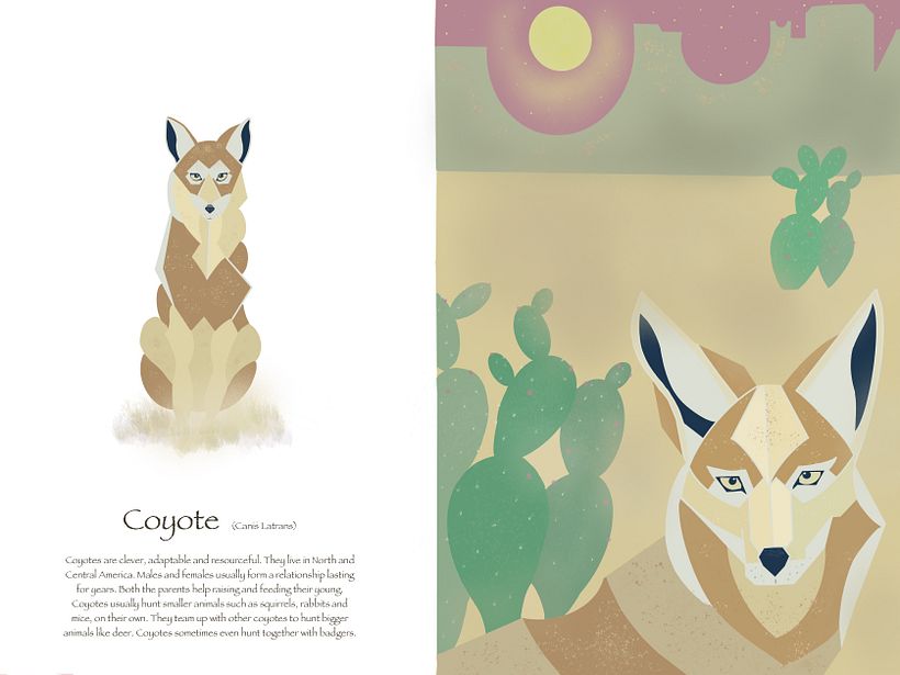 My project in Wildlife Illustration for Children's Books course 3