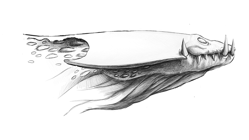 Head details
