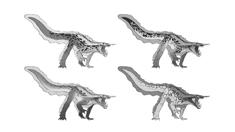 Skin pattern