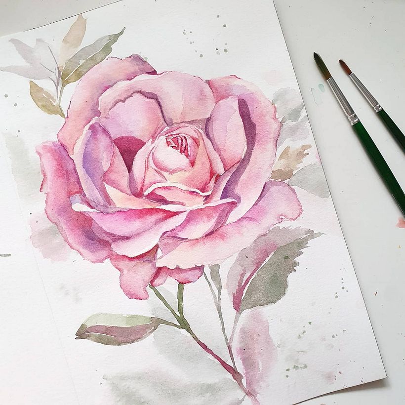Roses 2