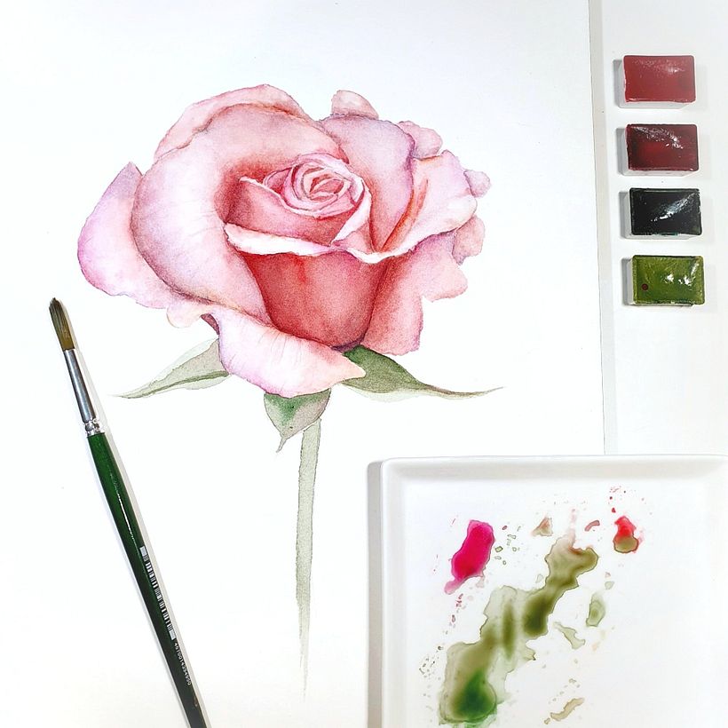 Roses 3