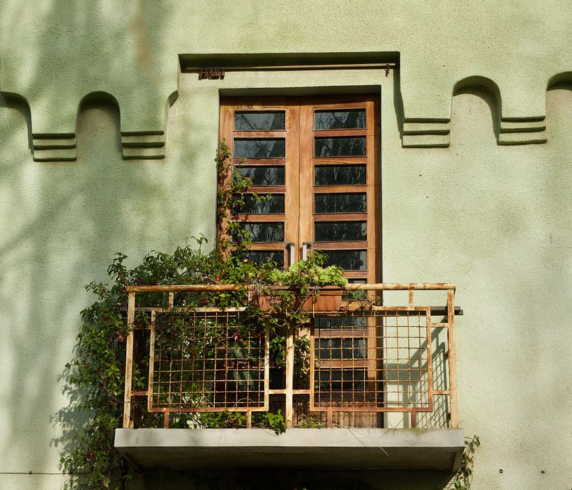 Mi Proyecto del curso: Introducción a la fotografía digital 8