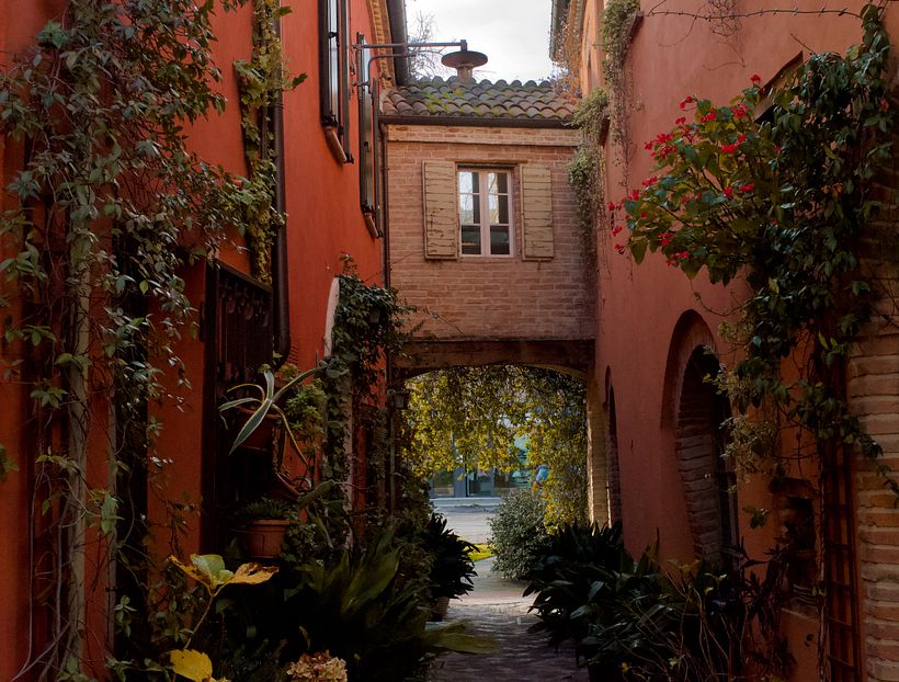 Mi Proyecto del curso: Introducción a la fotografía digital 7