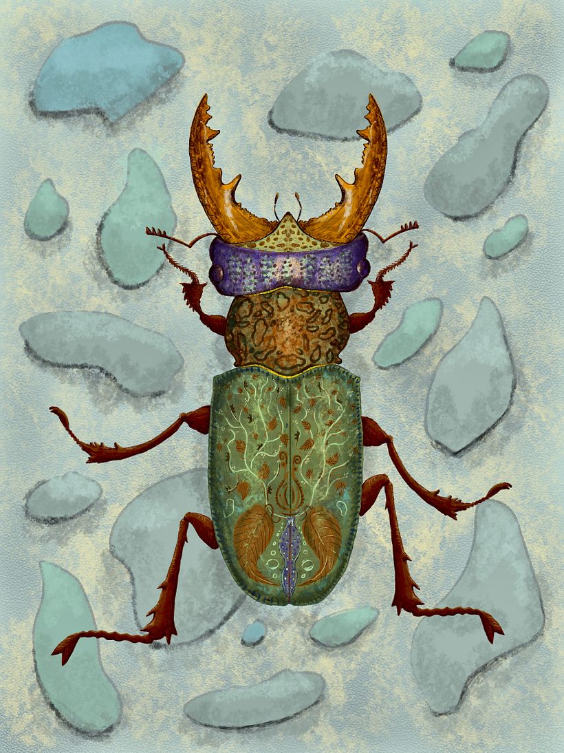 Insects 2
