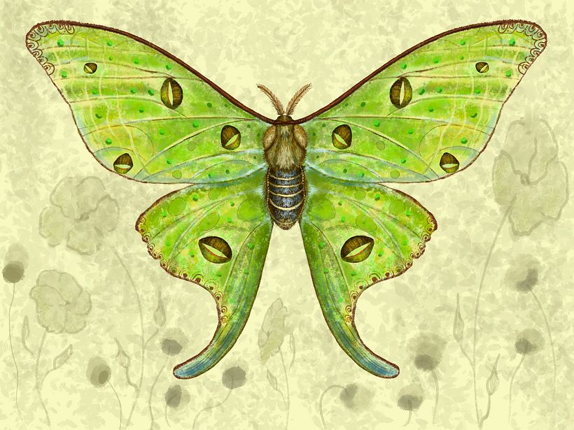 Insects 3