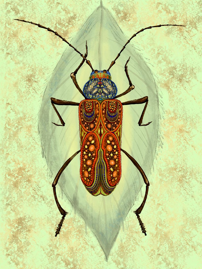Insects 4