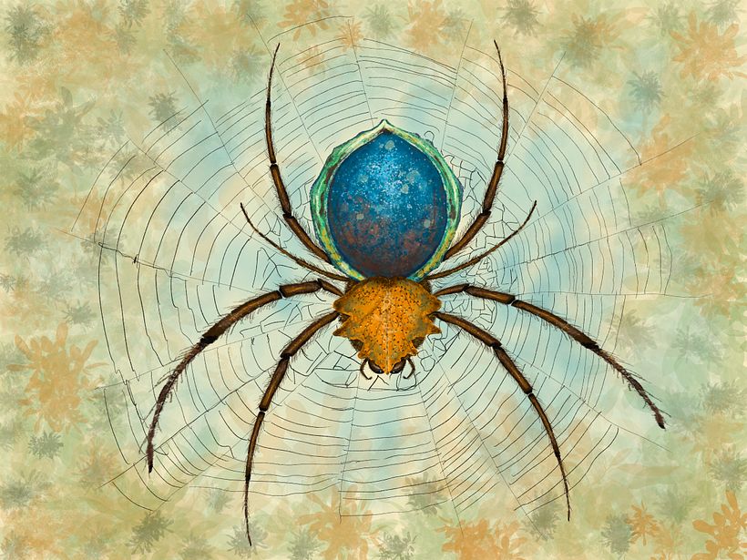 Insects 5