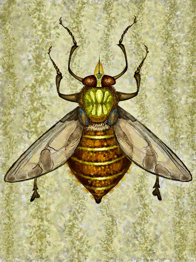 Insects 6