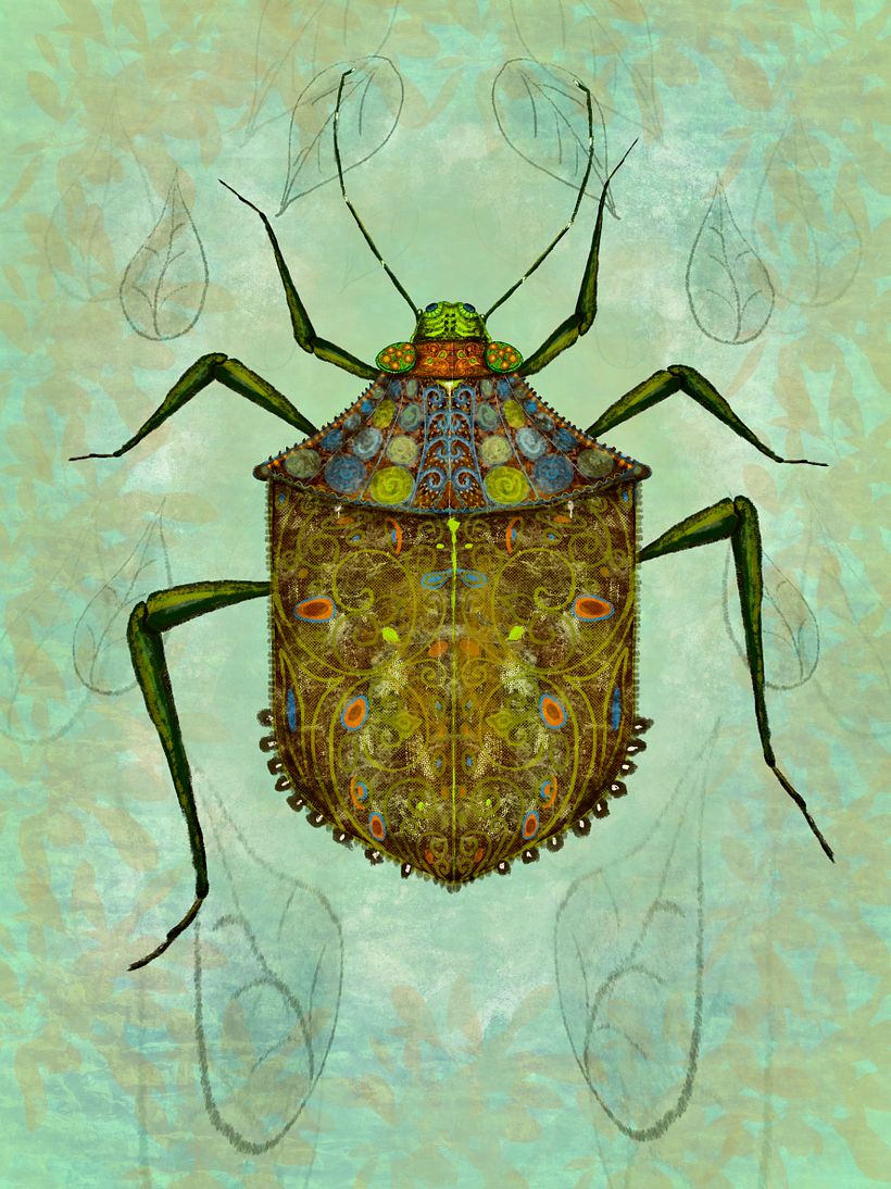 Insects 7