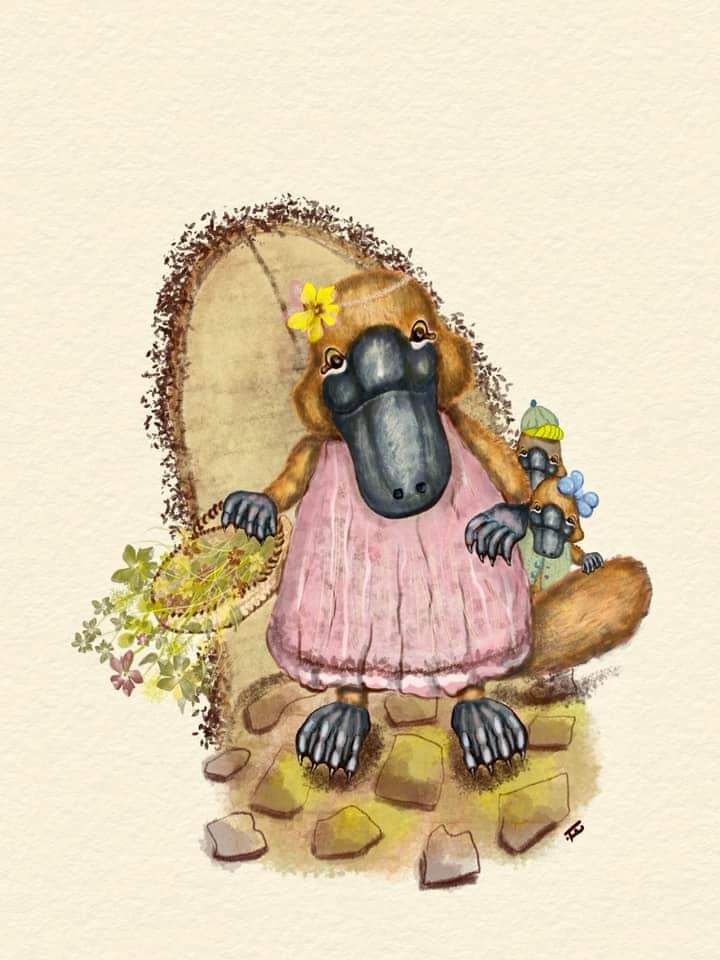 Animals 6