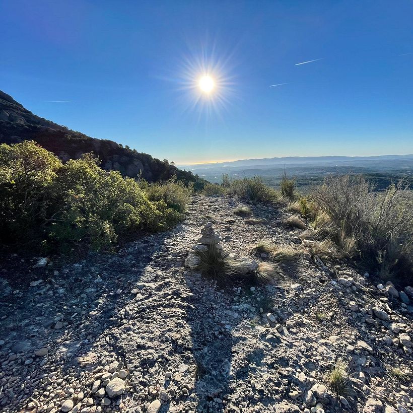 LLUM NATURAL DIRECTA